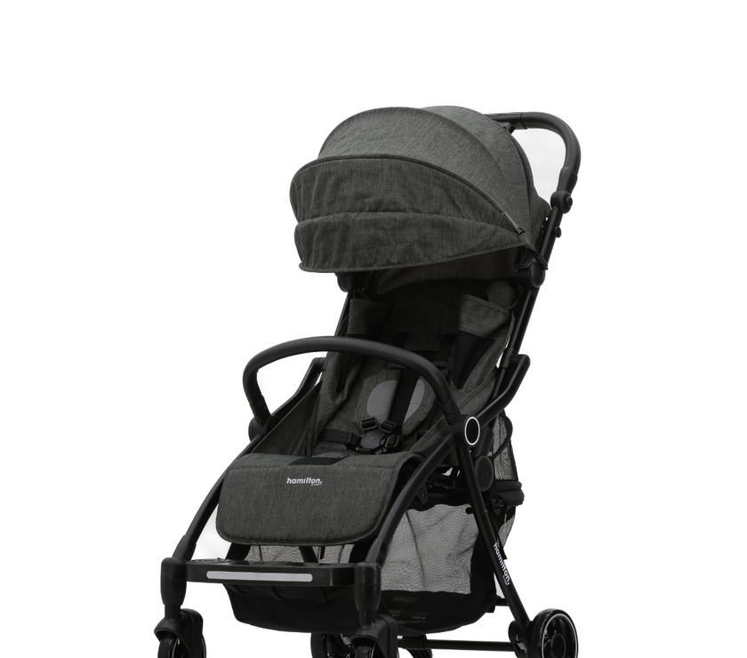 HAMILTON XL (New Facelift) - Assorted Colour
