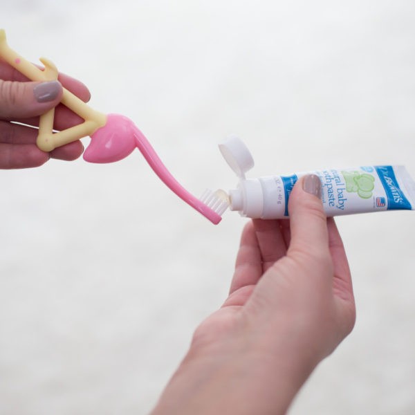 https://cdn.shopify.com/s/files/1/0659/5860/9120/products/Lifestyle_Flamingo_Toothbrush_Toothpaste_O16A6940-600x600.jpg?v=1676279109