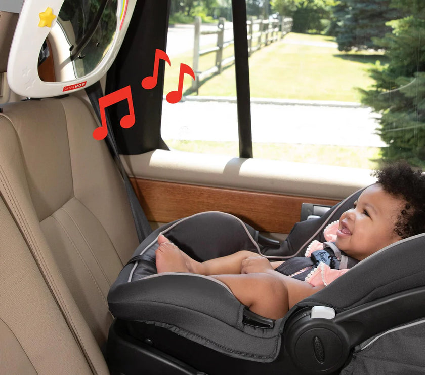 Skip hop car seat mirror top