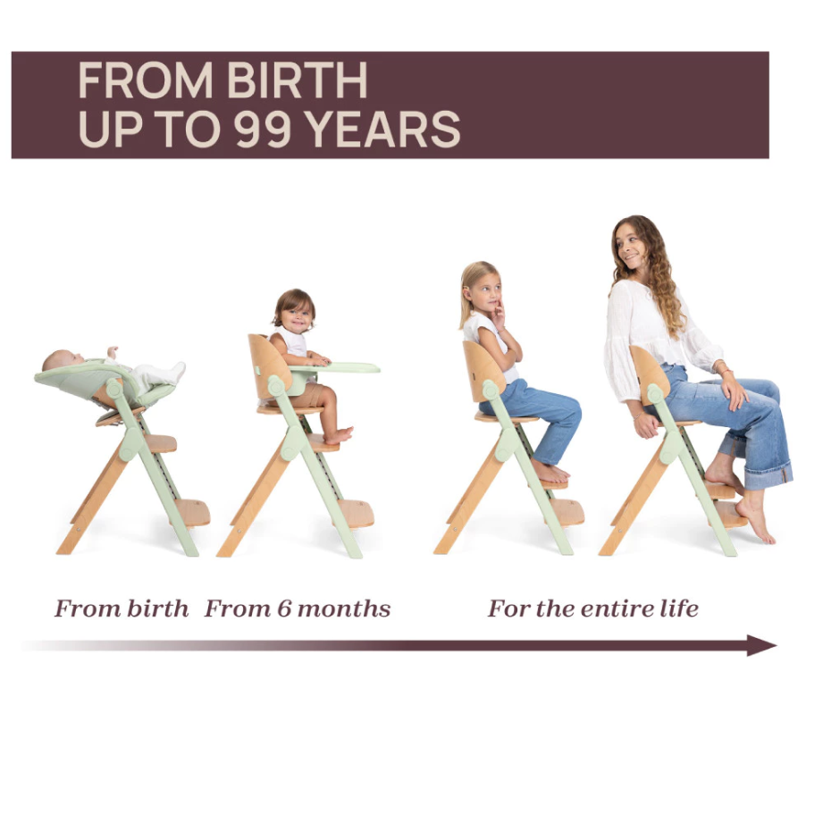 Chicco Meraviglia Highchair 3-in-1 System 04087149310000