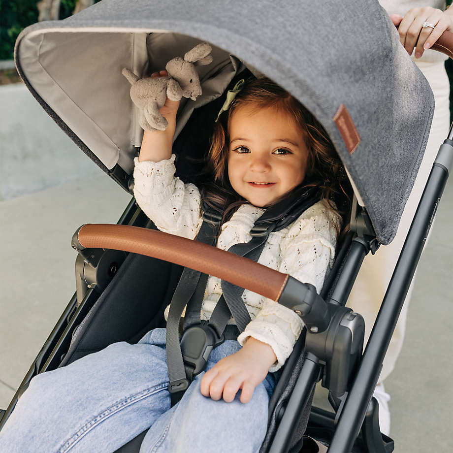 UPPAbaby VISTA V3 Stroller