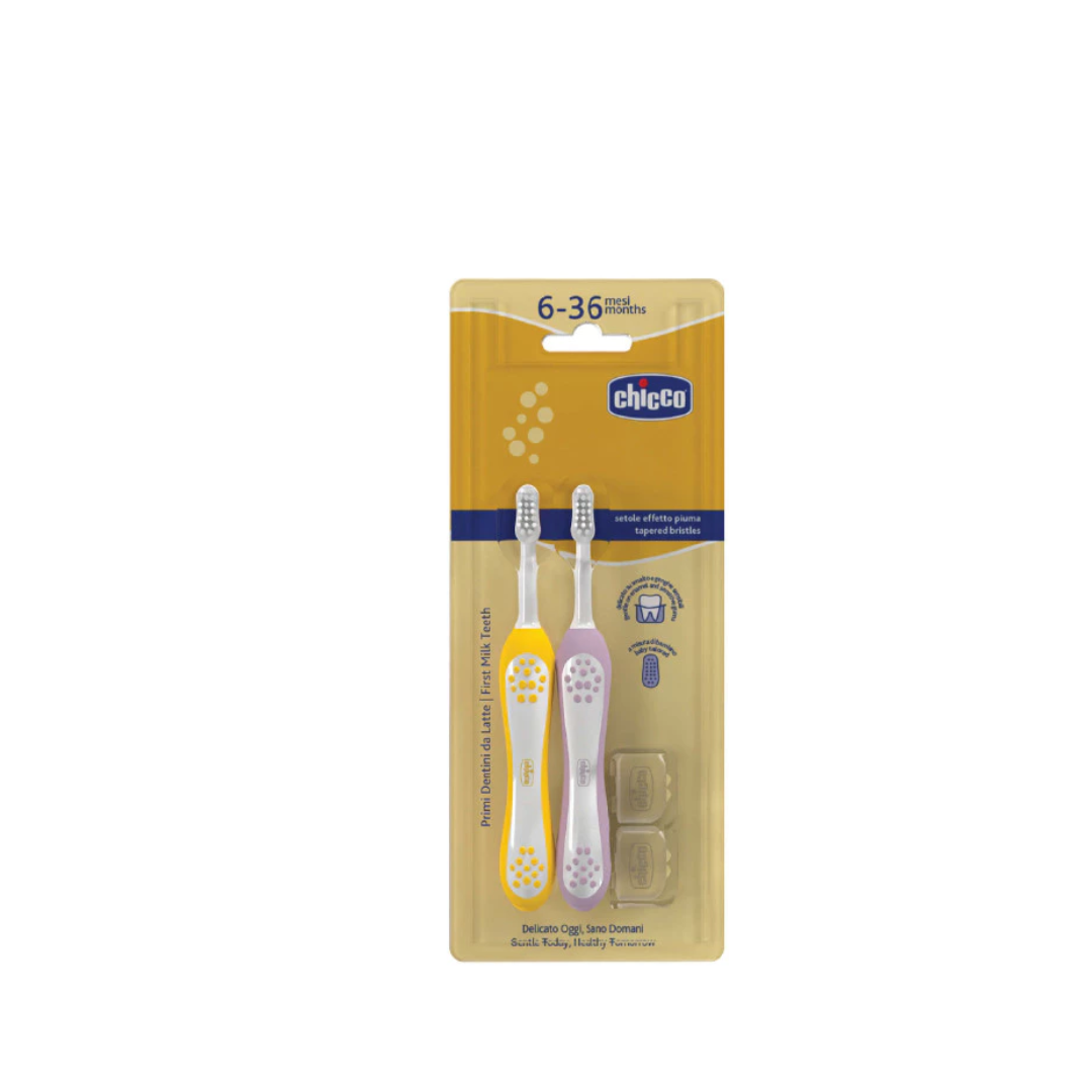 Chicco Combo First Teeth Toothbrush 6-36M 00012082000000
