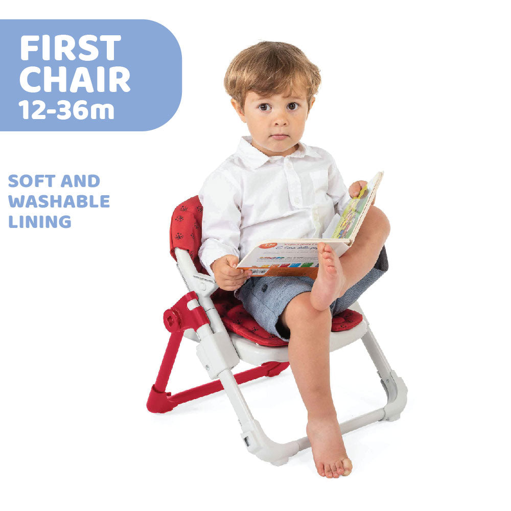 Chicco Chairy Bunny Booster Seat 00079177290000