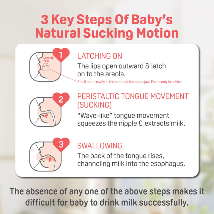 https://cdn.shopify.com/s/files/1/0681/8611/2158/files/ecomsSofTouch_E2_84_A2-Nursing-Bottle_FA_04-scaled_39afa402-4bac-4dbe-a91f-99ad24cfe636.jpg?v=1747987800