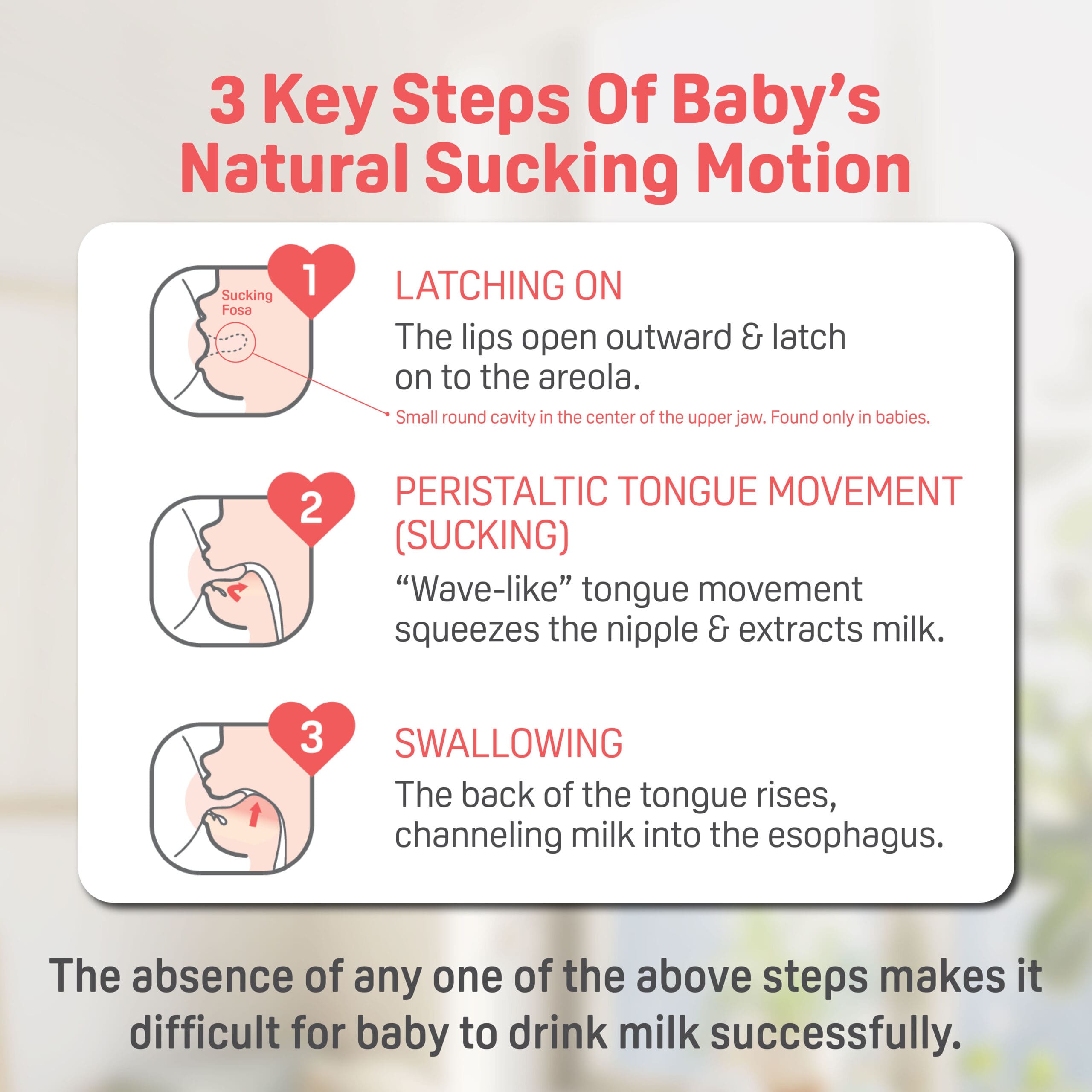 https://cdn.shopify.com/s/files/1/0681/8611/2158/files/ecomsSofTouch_E2_84_A2-Nursing-Bottle_FA_04-scaled_b08abadf-c840-4c8f-bc82-8fbf3d7c00a7.jpg?v=1747987811