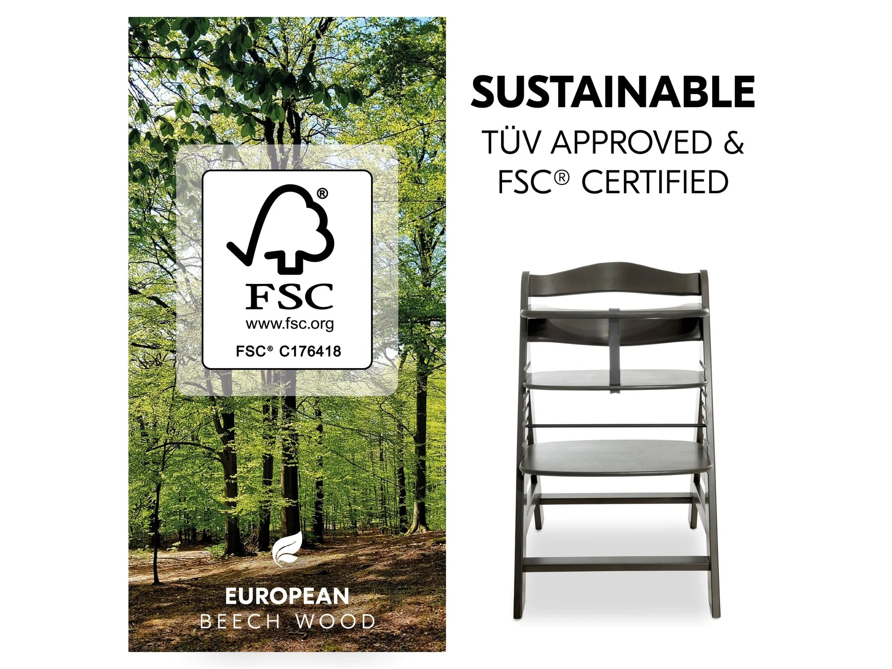 Hauck Alpha+ Trio: High Chair + Tray + Bouncer - Charcoal-3