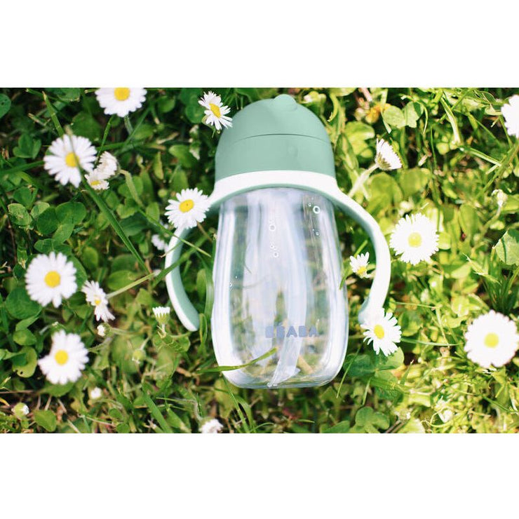 Beaba Straw Cup 300ml (Assorted Colours)