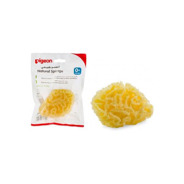 Pigeon Baby Natural Sponge | Little Baby.