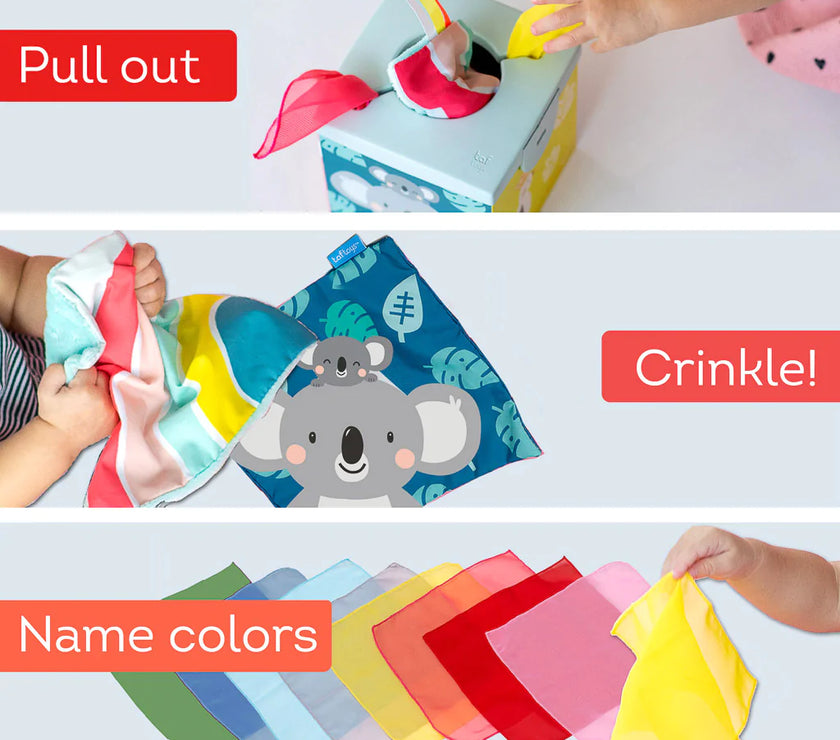 Taf Toys Kimmy Koala Wonder Tissue Box
