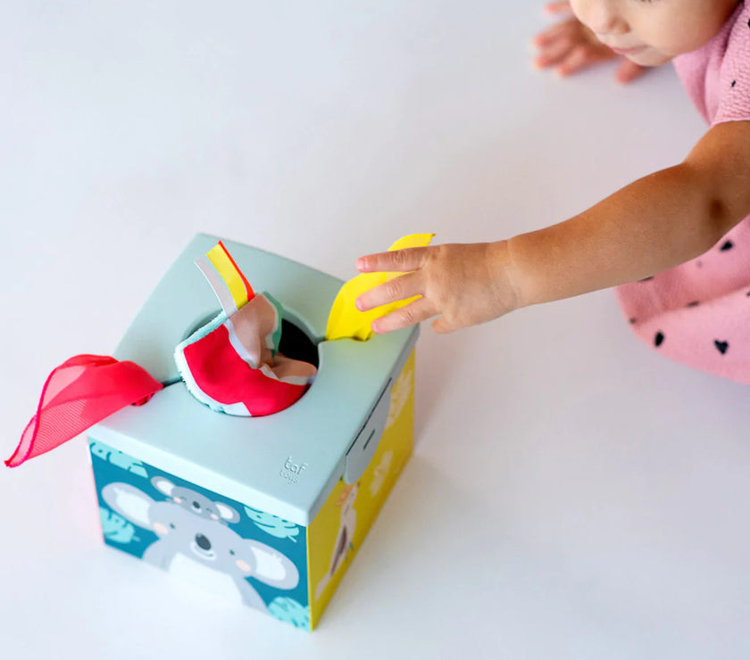 Taf Toys Kimmy Koala Wonder Tissue Box