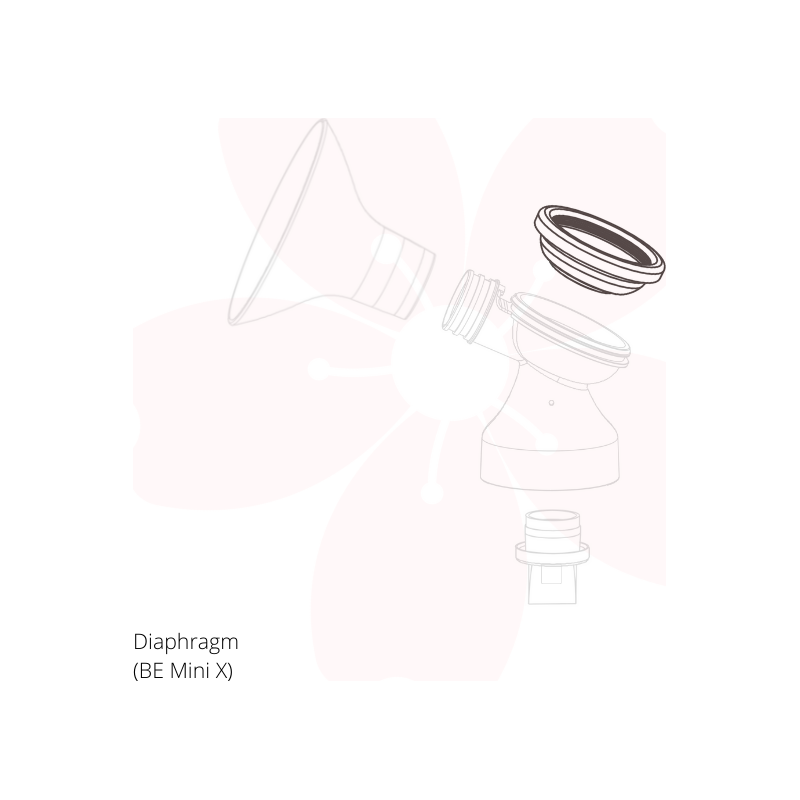 Baby Express Breast Pump Spare Parts (Be Mini X) | Little Baby.