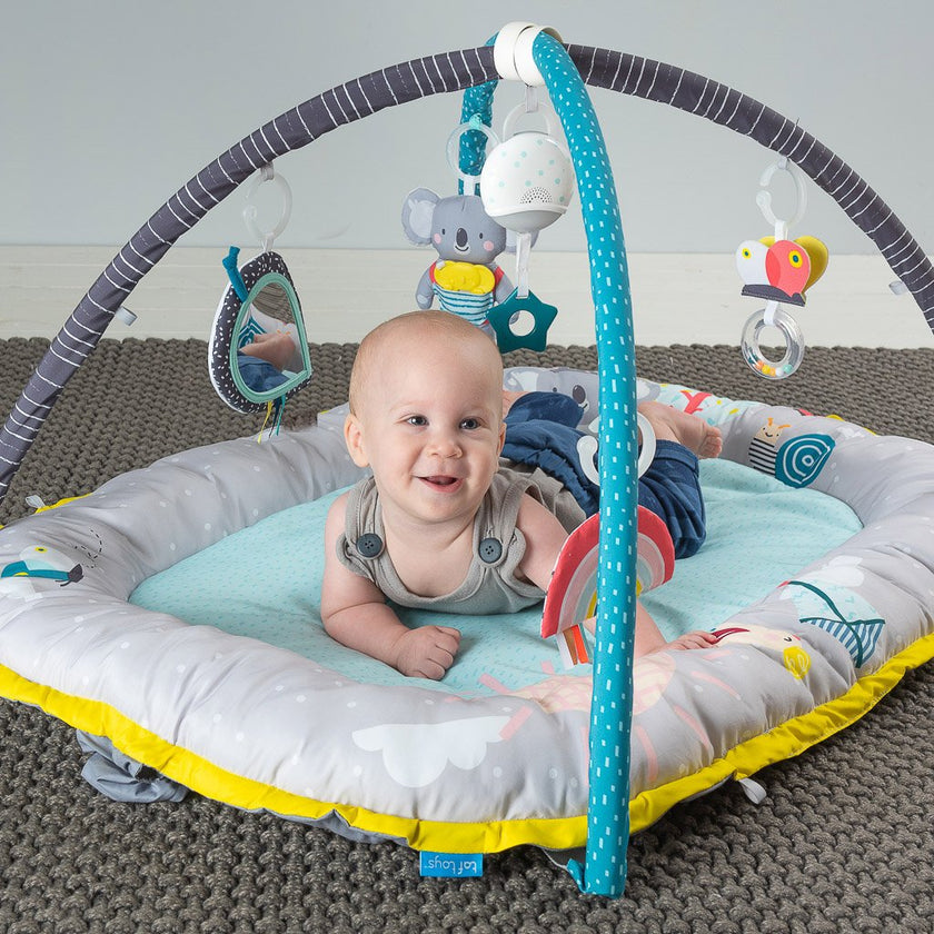 Taf Toys Koala Musical Newborn Cosy Gym | Little Baby.