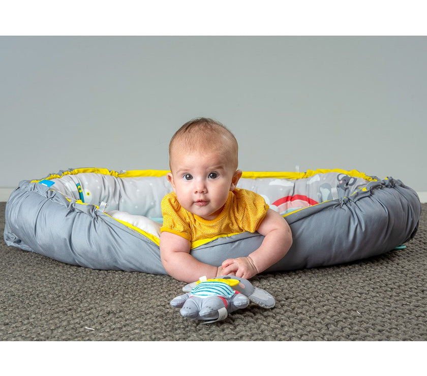 Taf Toys Koala Musical Newborn Cosy Gym | Little Baby.