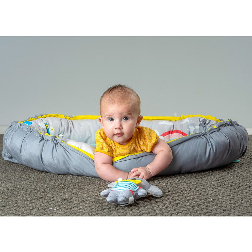 Taf Toys Koala Musical Newborn Cosy Gym | Little Baby.