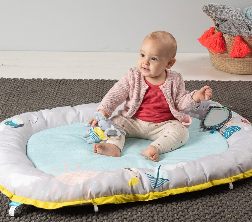Taf Toys Koala Musical Newborn Cosy Gym | Little Baby.