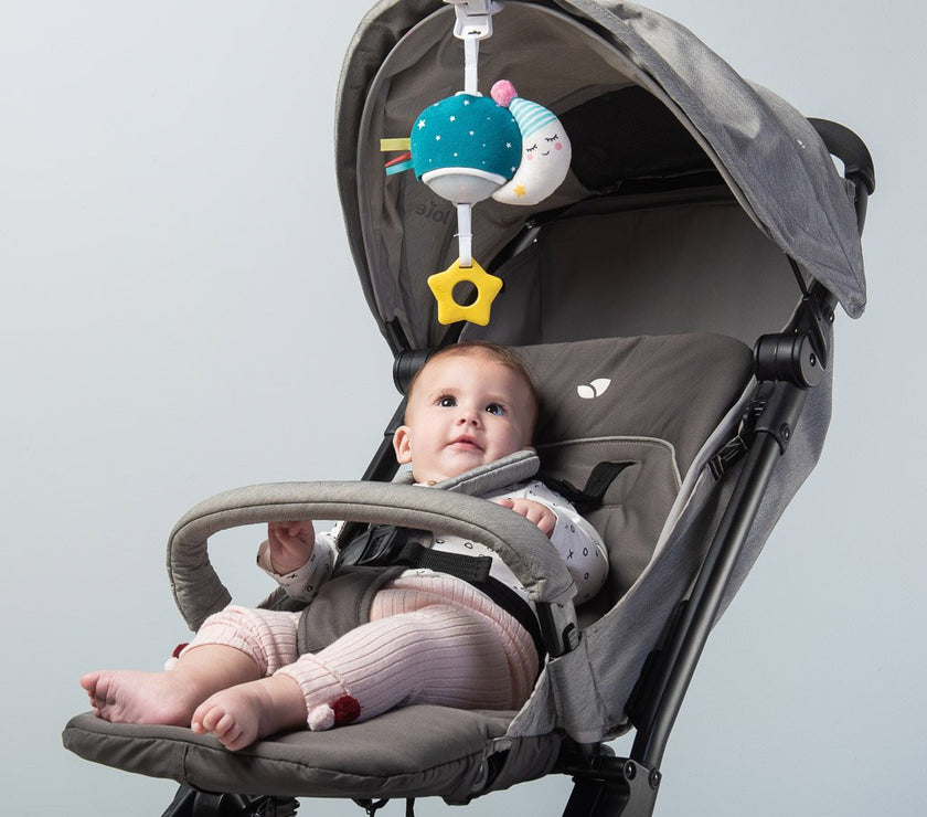 Taf Toys Musical Mini Moon | Little Baby.