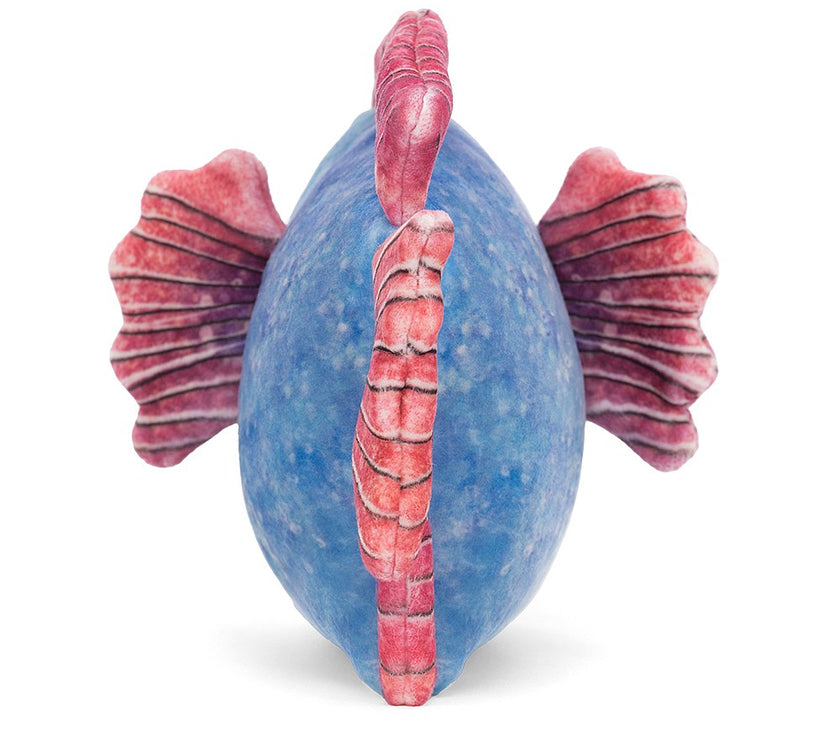 Jellycat Fishiful Blue - H13cm