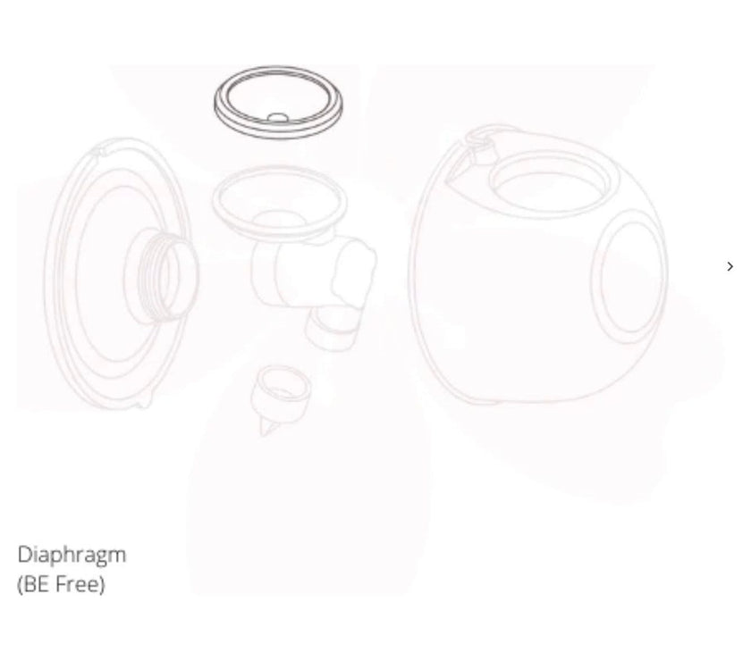 Baby Express Breast Pump Spare Parts (Be Free)