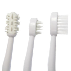 Dreambaby Toothbrush Set 3 Stage - White DB00325 | Little Baby.