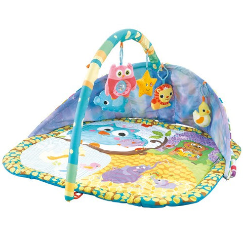 Lucky Baby 2-in-1 Sky Canopy Play Gym