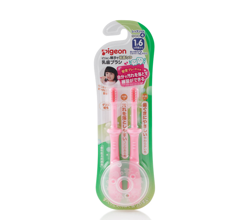 Pigeon Training Toothbrush Step 4 (2pcs)