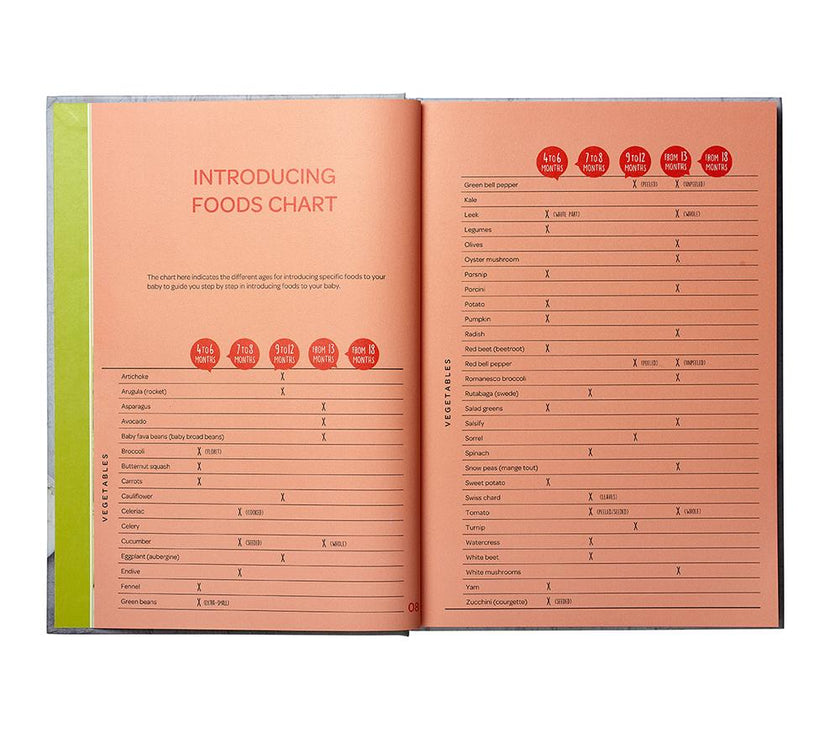 BEABA Babycook Book My First Meal - English Version | Little Baby.