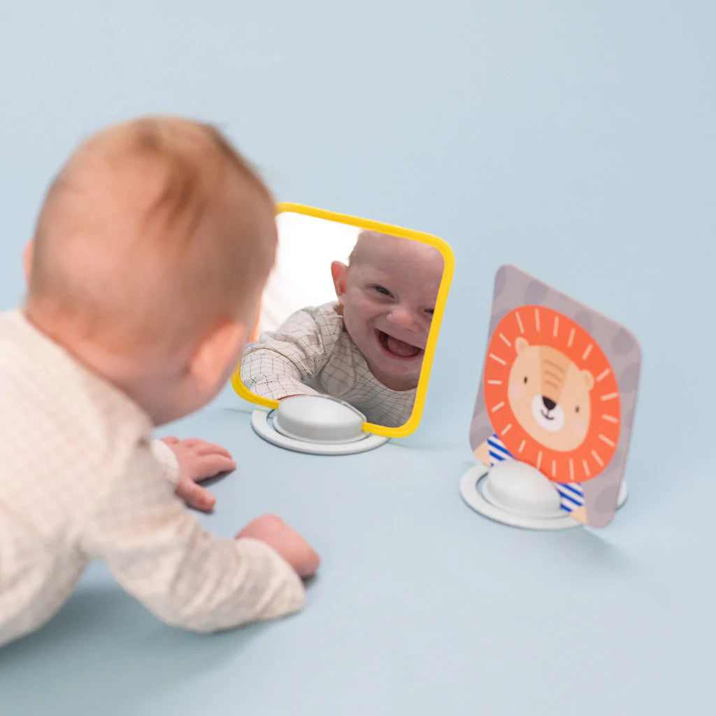 Taf Toys My 1st Tummy Time Cards-13