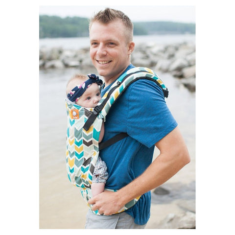 Agate - Tula Baby Carrier (Standard) | Little Baby.