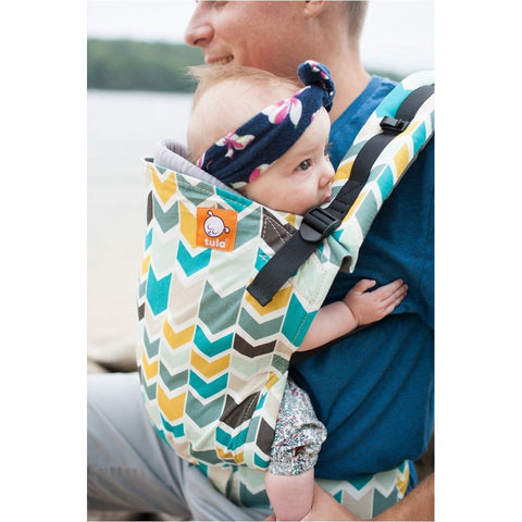 Agate - Tula Baby Carrier (Standard) | Little Baby.