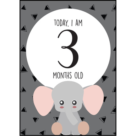 The Paper Elf - Animal Baby Milestone Cards | Little Baby.