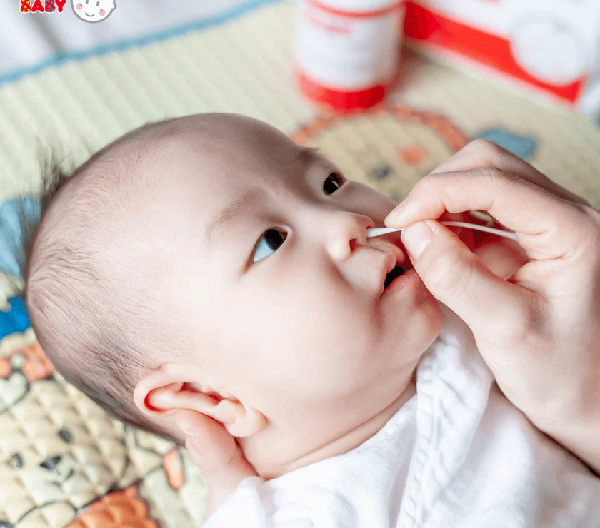 Suzuran Antibacterial Cotton Swab 180 pcs