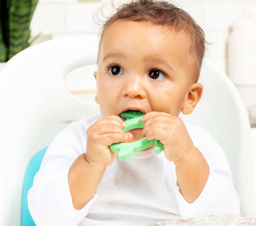 Dr. Brown’s Silicone Starter Spoon - Turtle