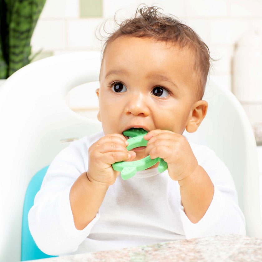 Dr. Brown’s Silicone Starter Spoon - Turtle