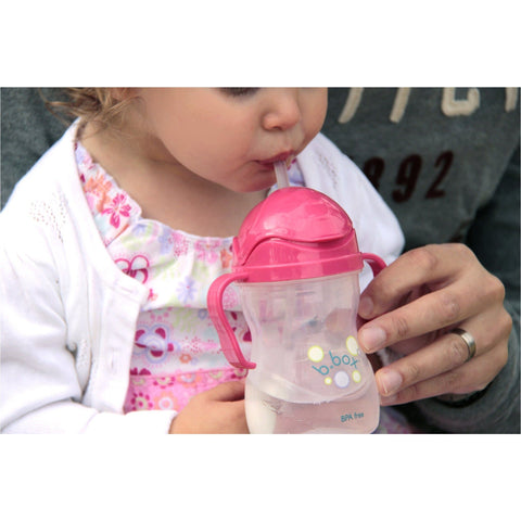 B.Box Sippy Cup (Raspberry) | Little Baby.