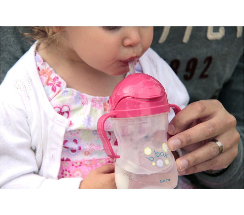 B.Box Sippy Cup (Grape) | Little Baby.
