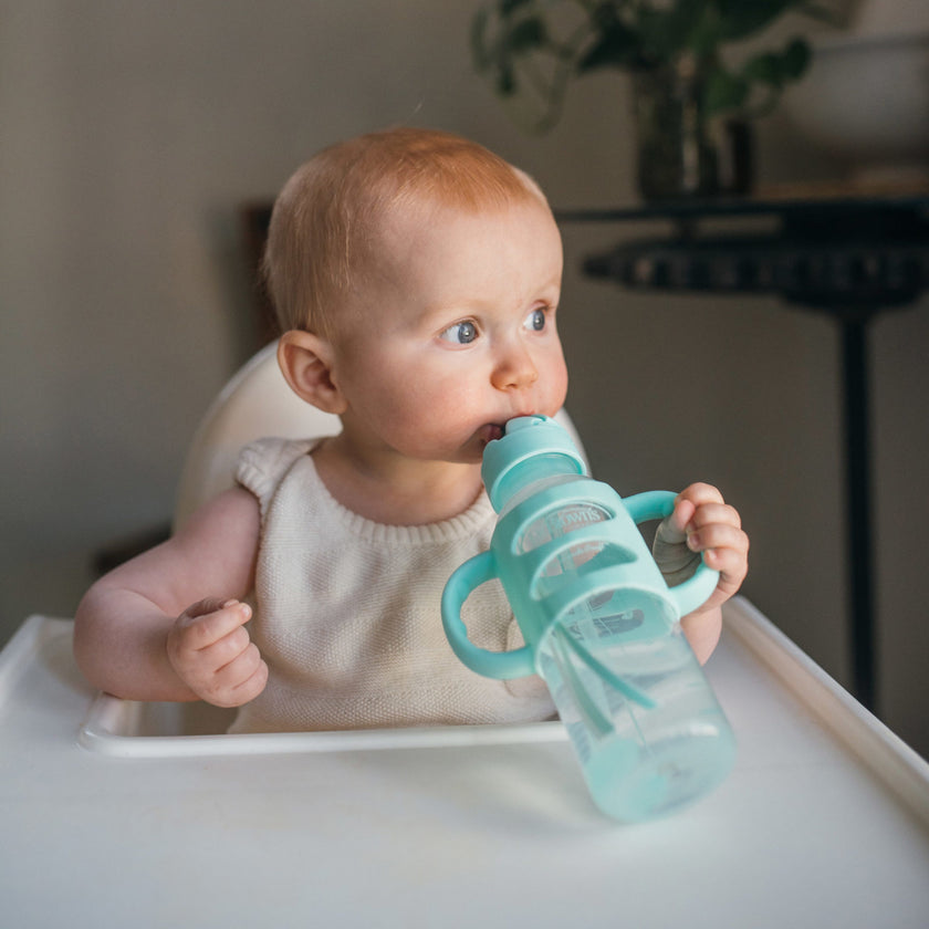 Dr. Brown’s PP Narrow Sippy Straw Bottle w Silicone Handles (Assorted Designs