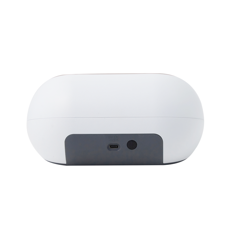 Spectra Dual Compact Electric Dual Breast Feeding Pump (2 Years Warranty) | Little Baby.