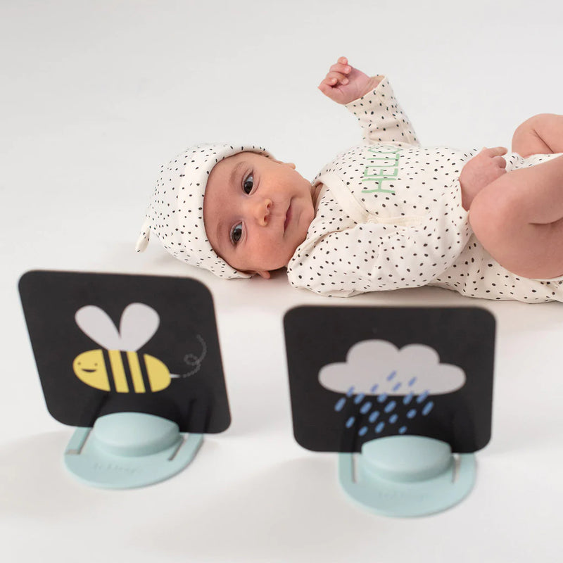 Taf Toys My 1st Tummy Time Cards-7