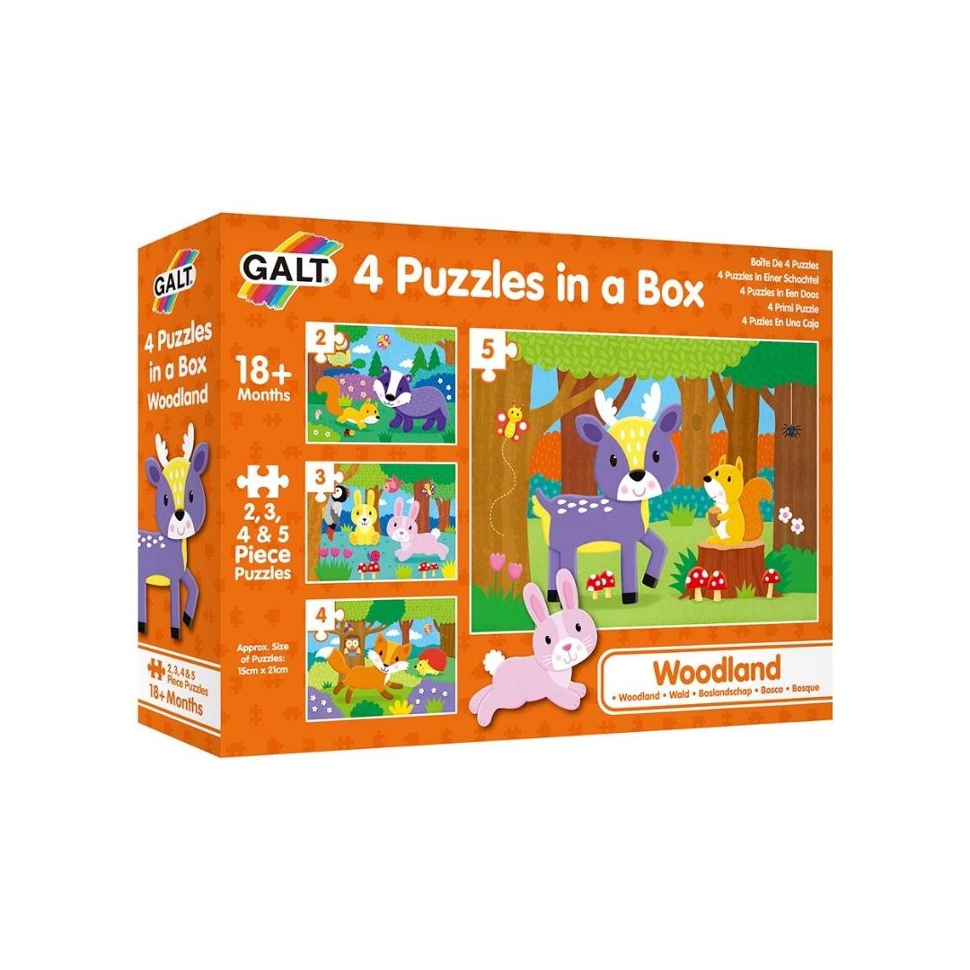 Galt 4 Puzzles In A Box