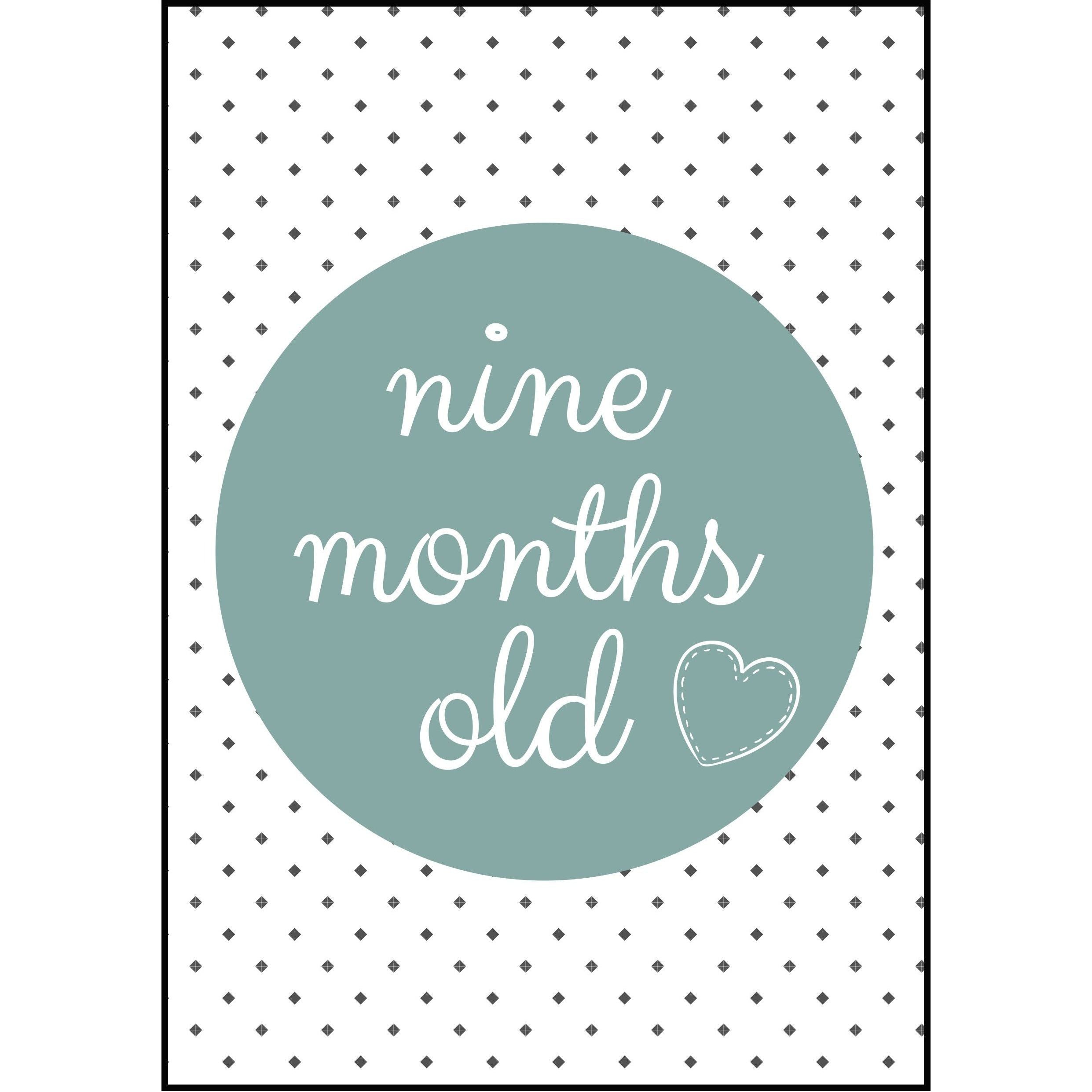 The Paper Elf - Generic Baby Milestone Cards | Little Baby.