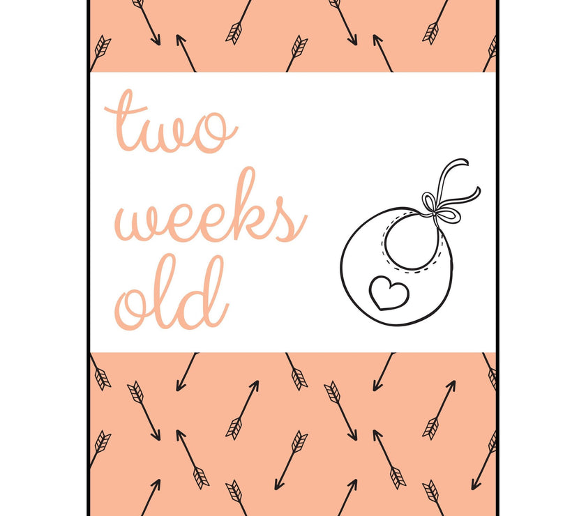 The Paper Elf - Generic Baby Milestone Cards | Little Baby.