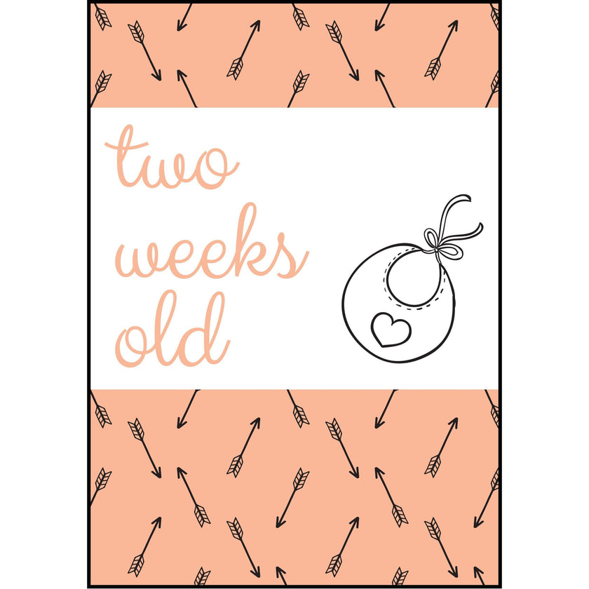 The Paper Elf - Generic Baby Milestone Cards | Little Baby.
