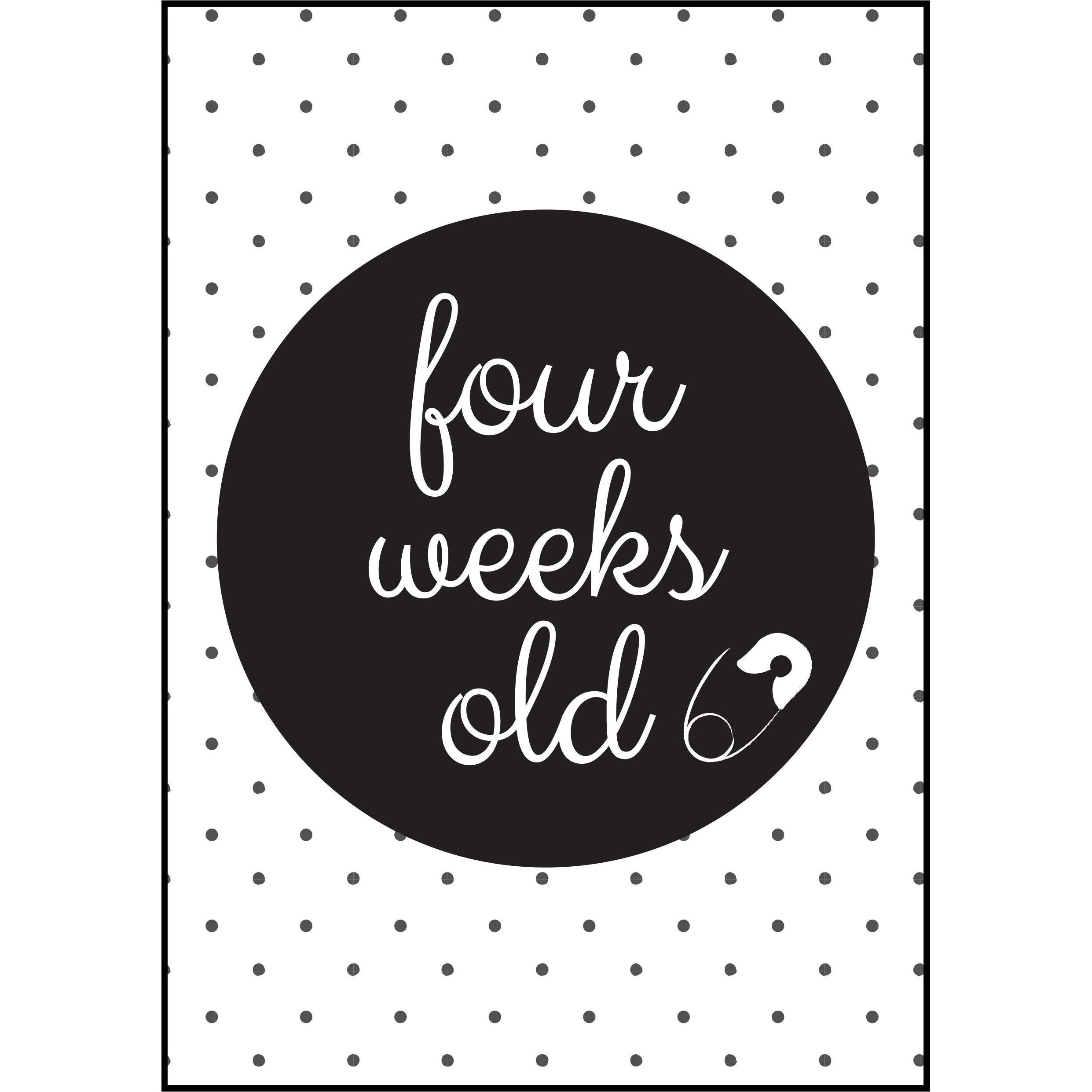 The Paper Elf - Generic Baby Milestone Cards | Little Baby.