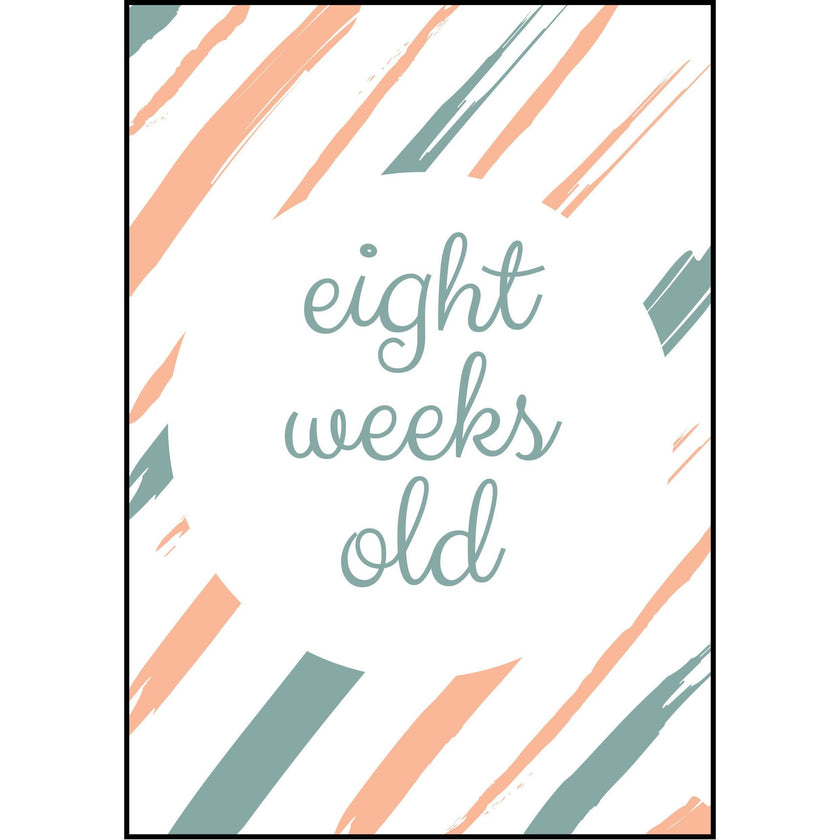 The Paper Elf - Generic Baby Milestone Cards | Little Baby.