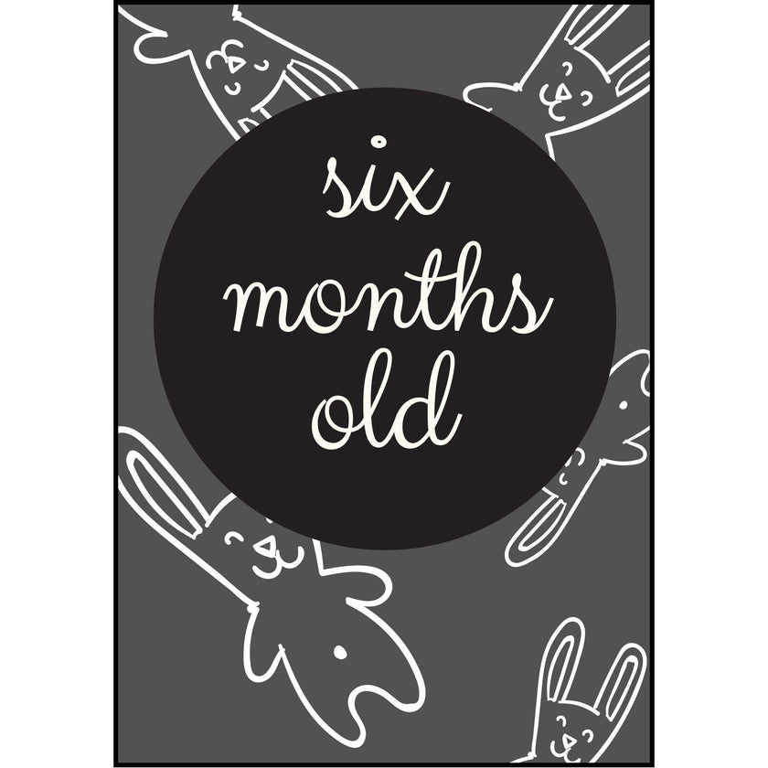 The Paper Elf - Generic Baby Milestone Cards | Little Baby.