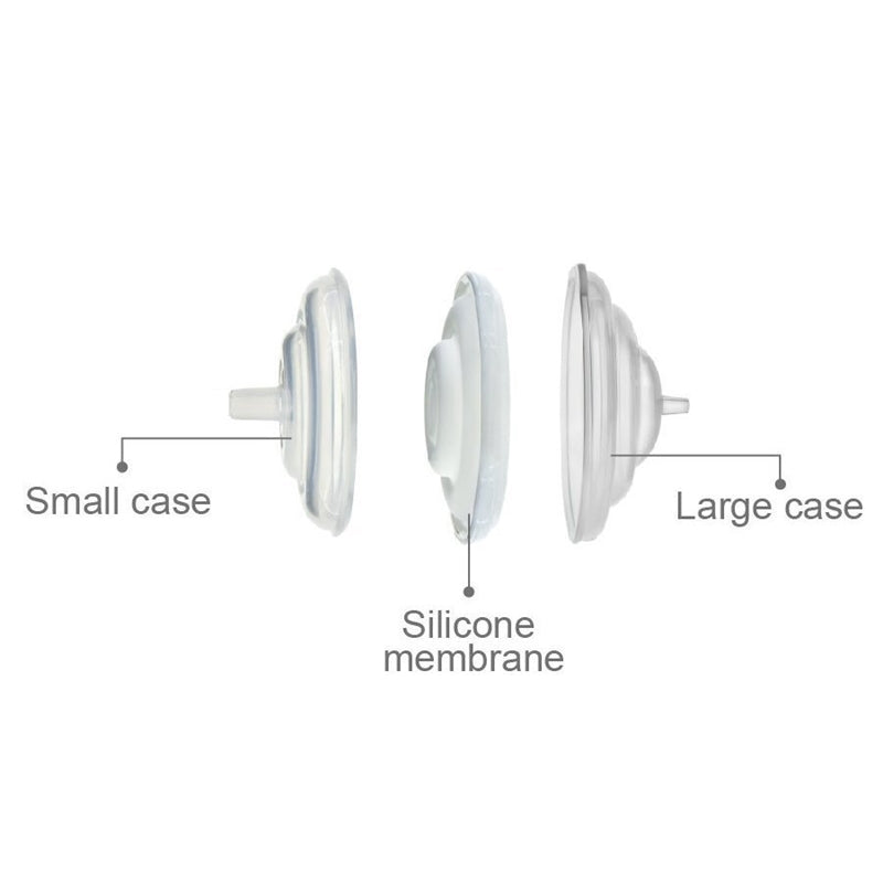 Spectra Backflow Protector | Little Baby.