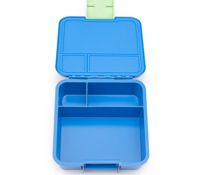 Little Lunch Box - Bento Three – Dinosaur | Little Baby.