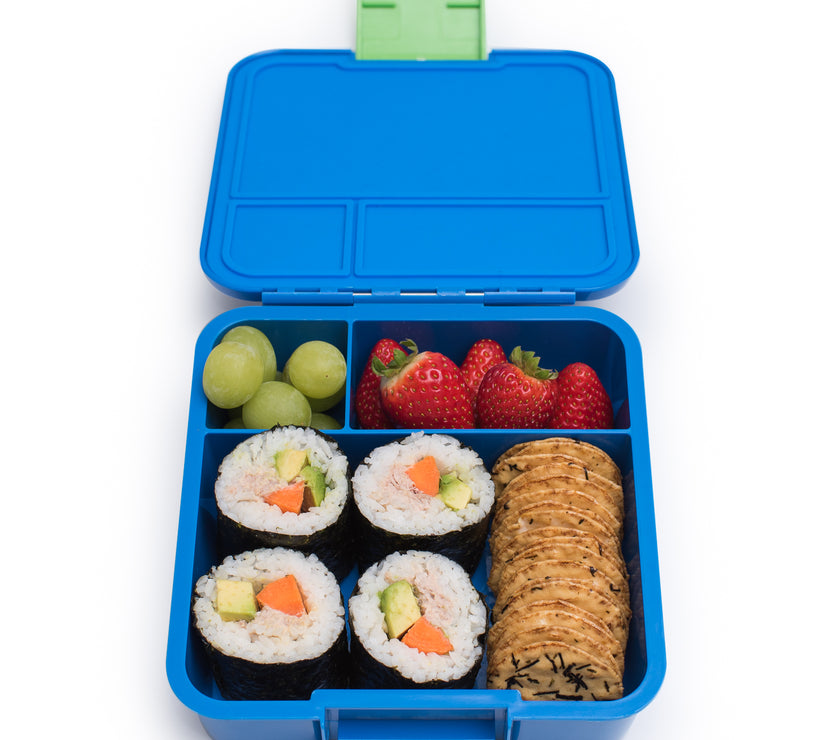 Little Lunch Box - Bento Three – Dinosaur | Little Baby.