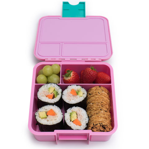 Little Lunch Box - Bento Three – Watermelon | Little Baby.