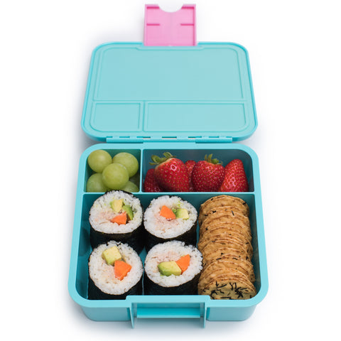 Little Lunch Box - Bento Three – Flamingo | Little Baby.